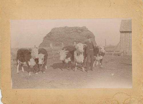 W.A. Turner on Southern Stock Farm