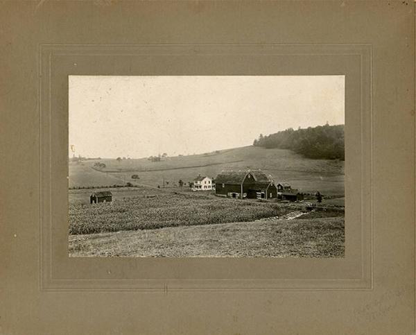 C.J. Armstrong Farm