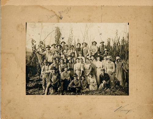 Hop Pickers with Harry Wright