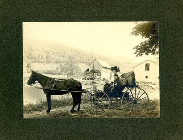 Horse Drawn Carriage