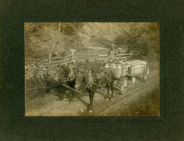 Horse Drawn Milk Wagon