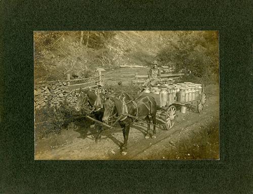 Horse Drawn Milk Wagon