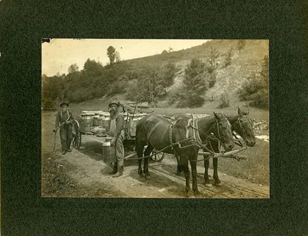 Horse Drawn Milk Wagon