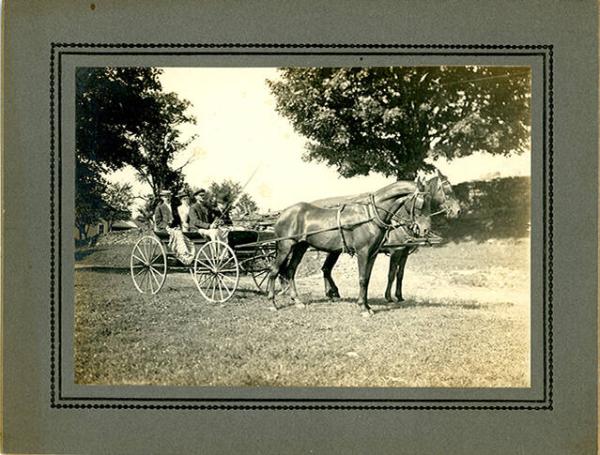 Horse Drawn Carriage