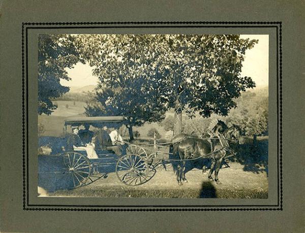 Horse Drawn Covered Carriage