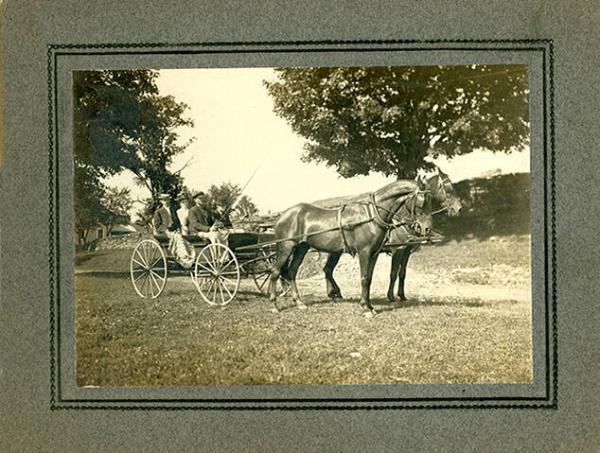 Horse Drawn Carriage