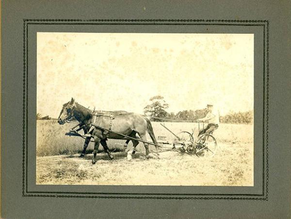 Horse Drawn Hay Rake