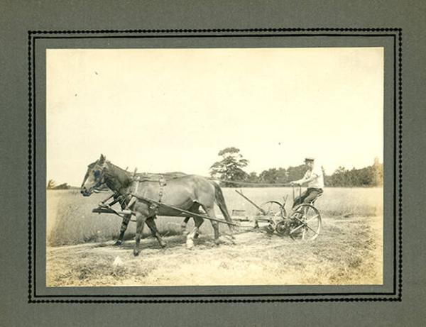 Horse Drawn Hay Rake
