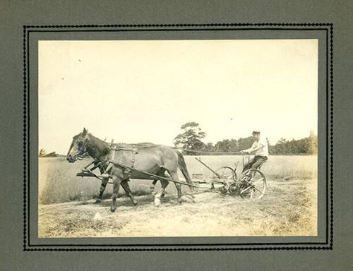 Horse Drawn Hay Rake