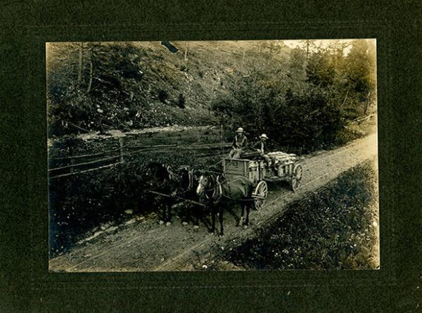 Horse Drawn Milk Wagon