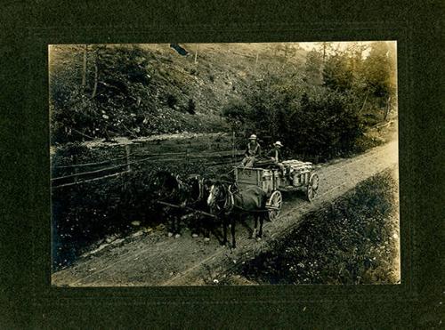 Horse Drawn Milk Wagon