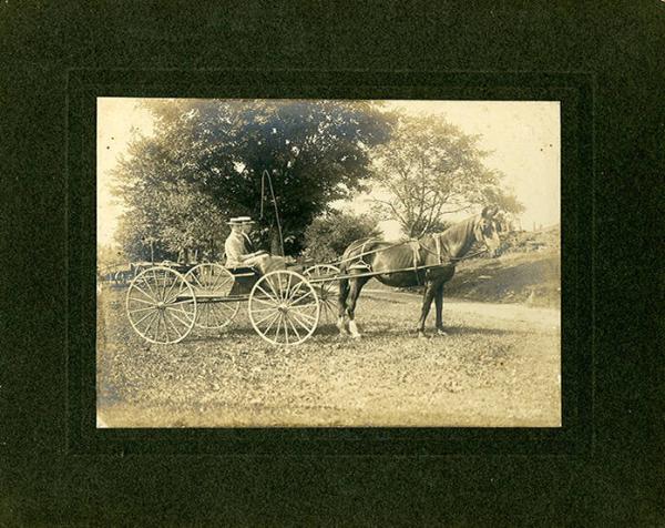 Horse Drawn Cart