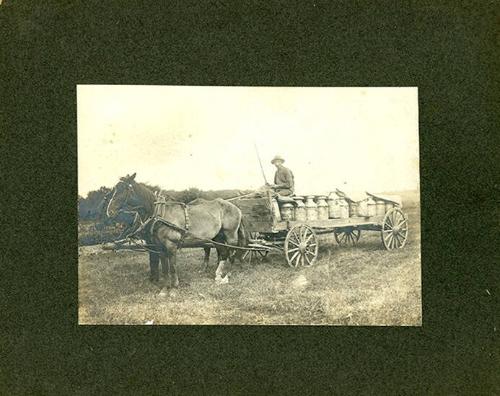 Horse Drawn Milk Wagon