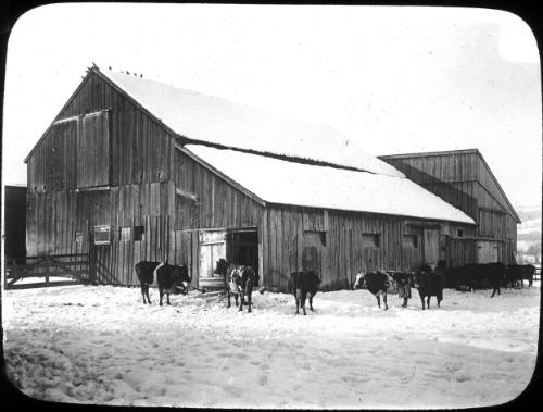 Barn Exterior 
