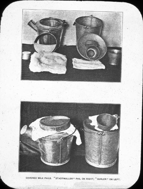 Covered Milk Pails 
