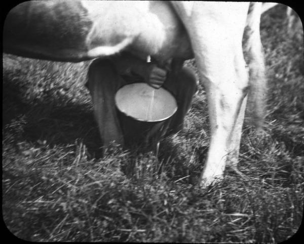 Milk Pails 
