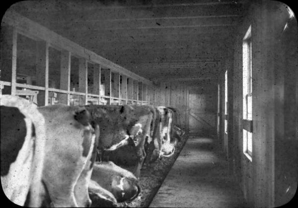 Interior of a Barn, New Jersey 
