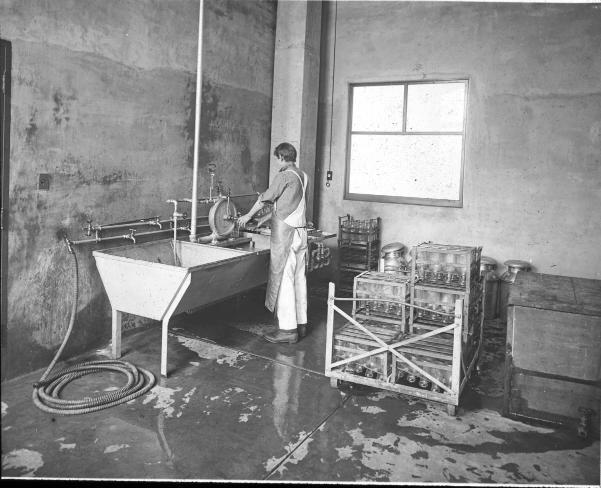 Cornell University Dairy Dept Bottle Wash Room 
