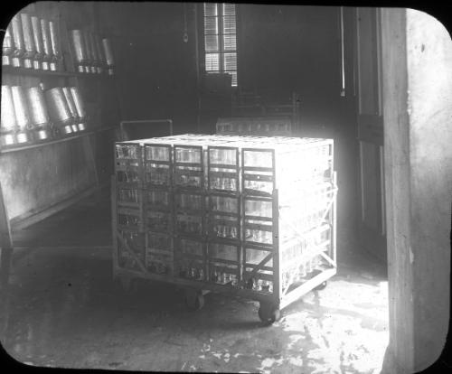 Sterilizer Bottle Truck 
