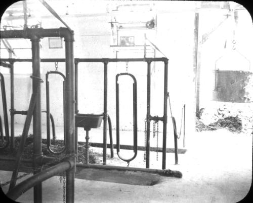 Barn Interior. Pipe Construction of Stalls. 
