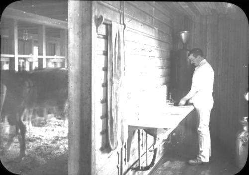 Barn Interior: Fairfiled Dairy Washroom. 
