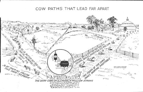 Comic - Cow Paths that Lead Far Apart