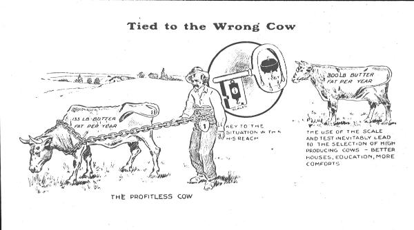 Comic - Cow Paths that Lead Far Apart