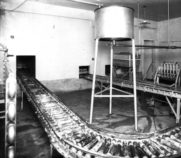 Dairy Utensils - Conveyor