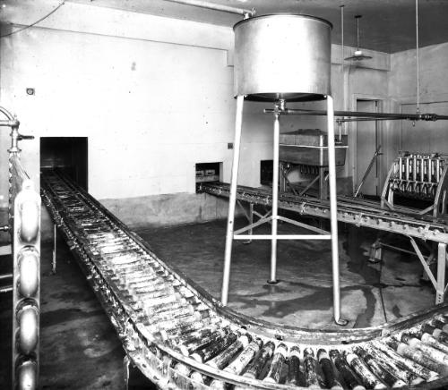 Dairy Utensils - Conveyor