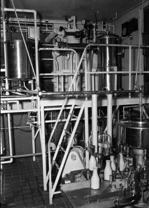 Dairy Utensils