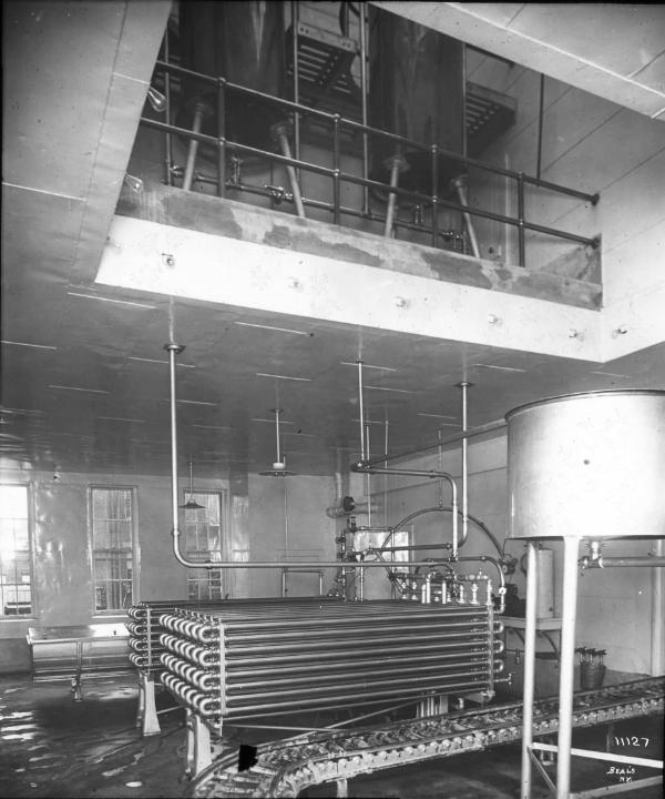 Unidentified dairying set-up