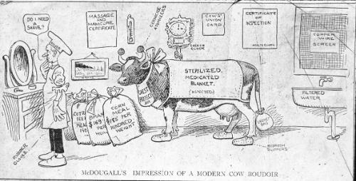 McDougall's Impression of a Modern Cow comic