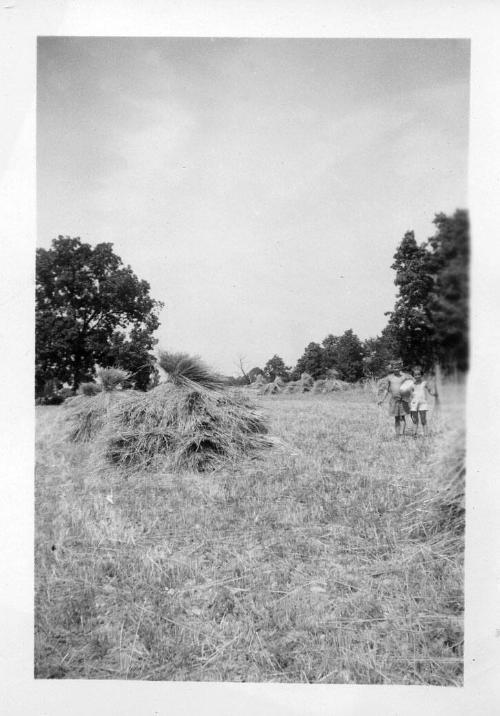 Two Children in a Hay Field