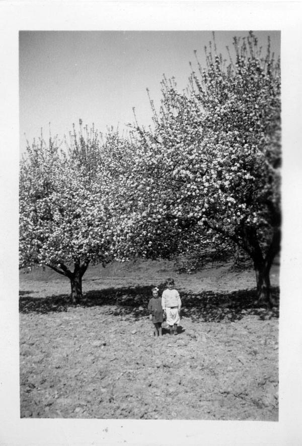 Two Children in an Apple Orchard