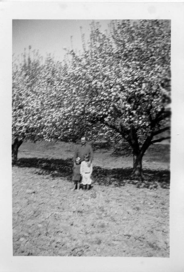 Two Children and a Man in an Apple Orchard