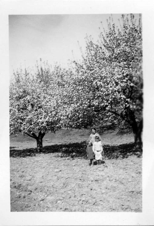 Two Children and a Woman in an Apple Orchard