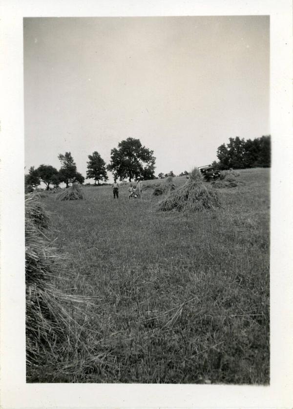Hayfield with Family and Truck