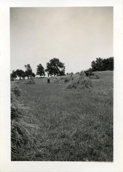 Hayfield with Family and Truck