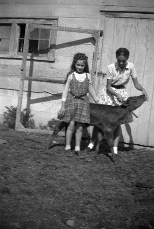 Two Girls with a Calf