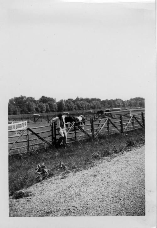 Man with Horses