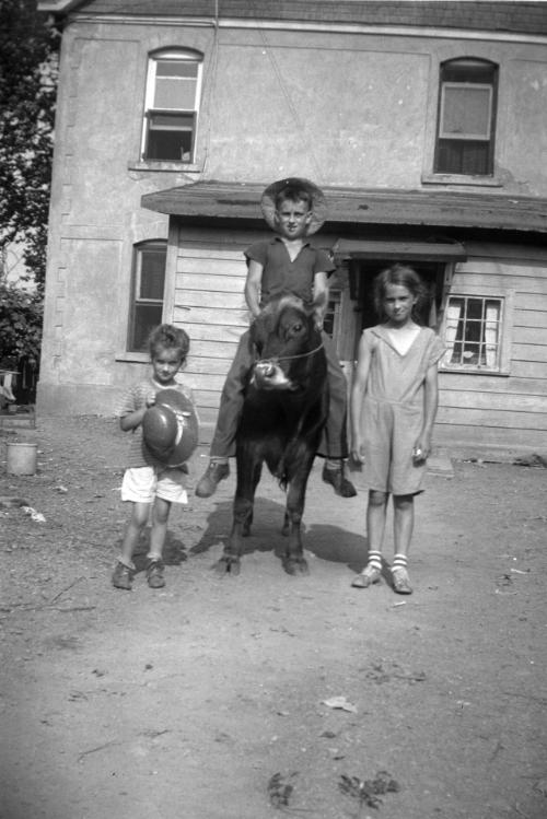 Young Boy on a Heifer and Two Young Girls
