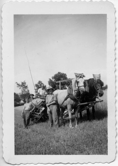 Dezemo Family Members Posing with a Team of Horses