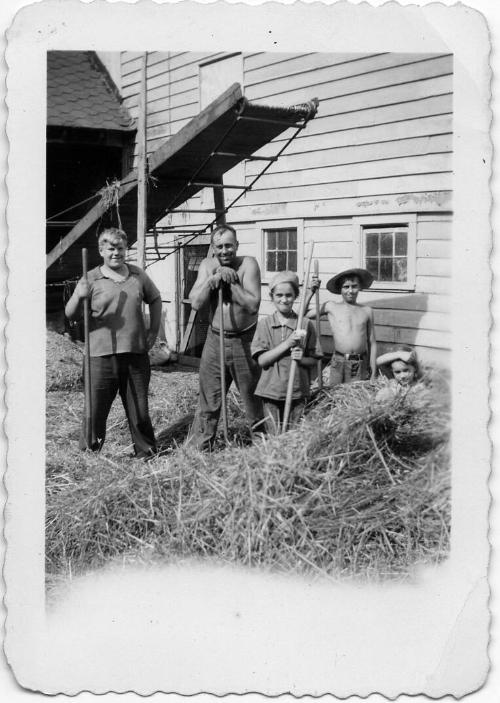 George, Jim, Anna and Myrtle Dezemo Working in the Hay