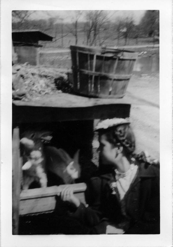 Dezemo Girl with Rabbits