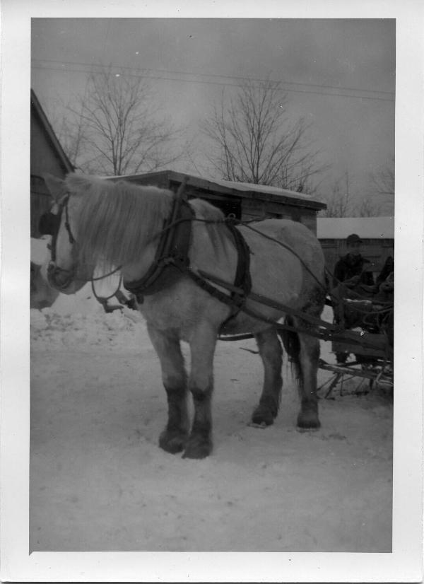 Work Horse and Sleigh