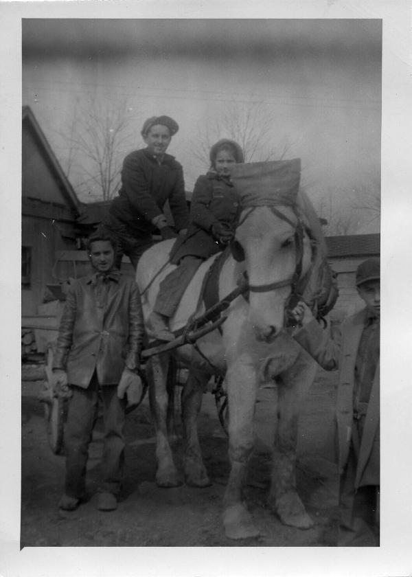 Four Dezemo Children with a Horse