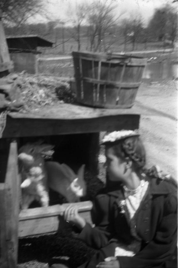 Dezemo Girl with Rabbits