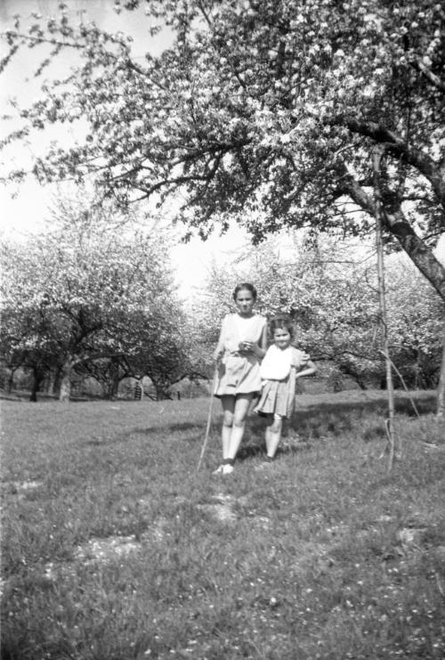 Two Girls in an Apple Orchard
