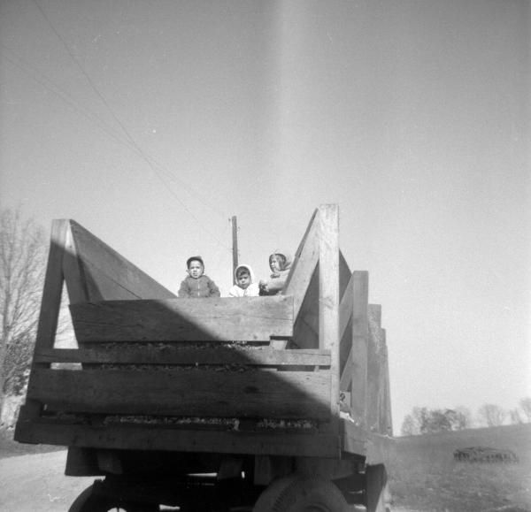 Children on Top of a Feed Wagon