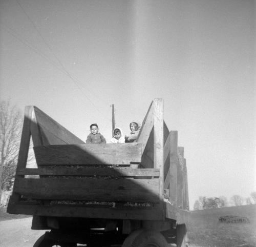 Children on Top of a Feed Wagon